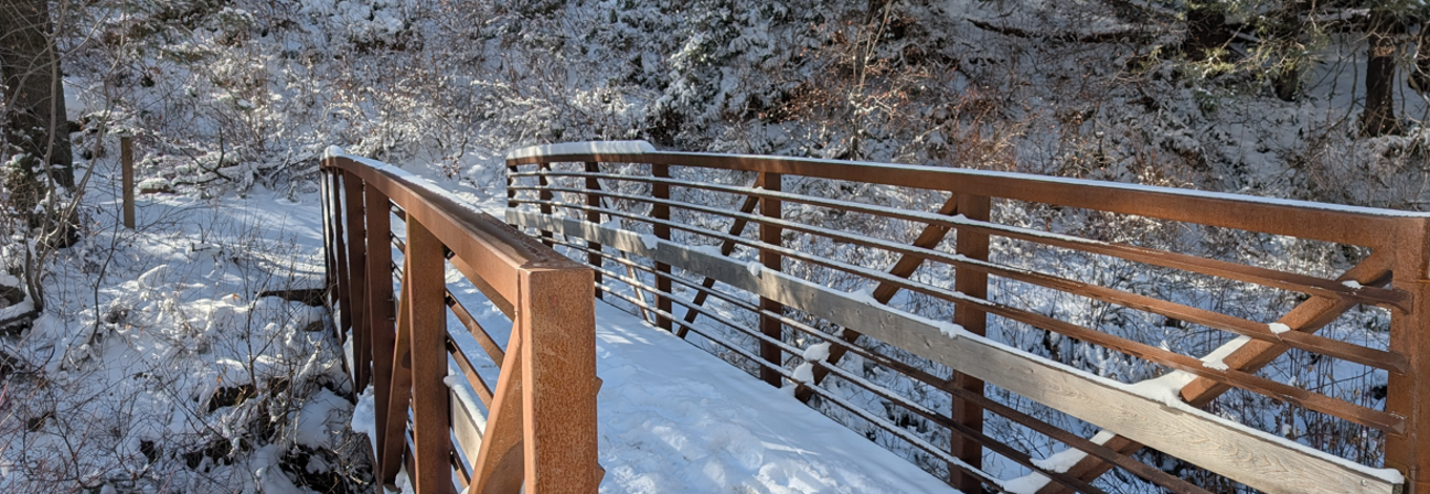A wooden bridge over a snowy river.