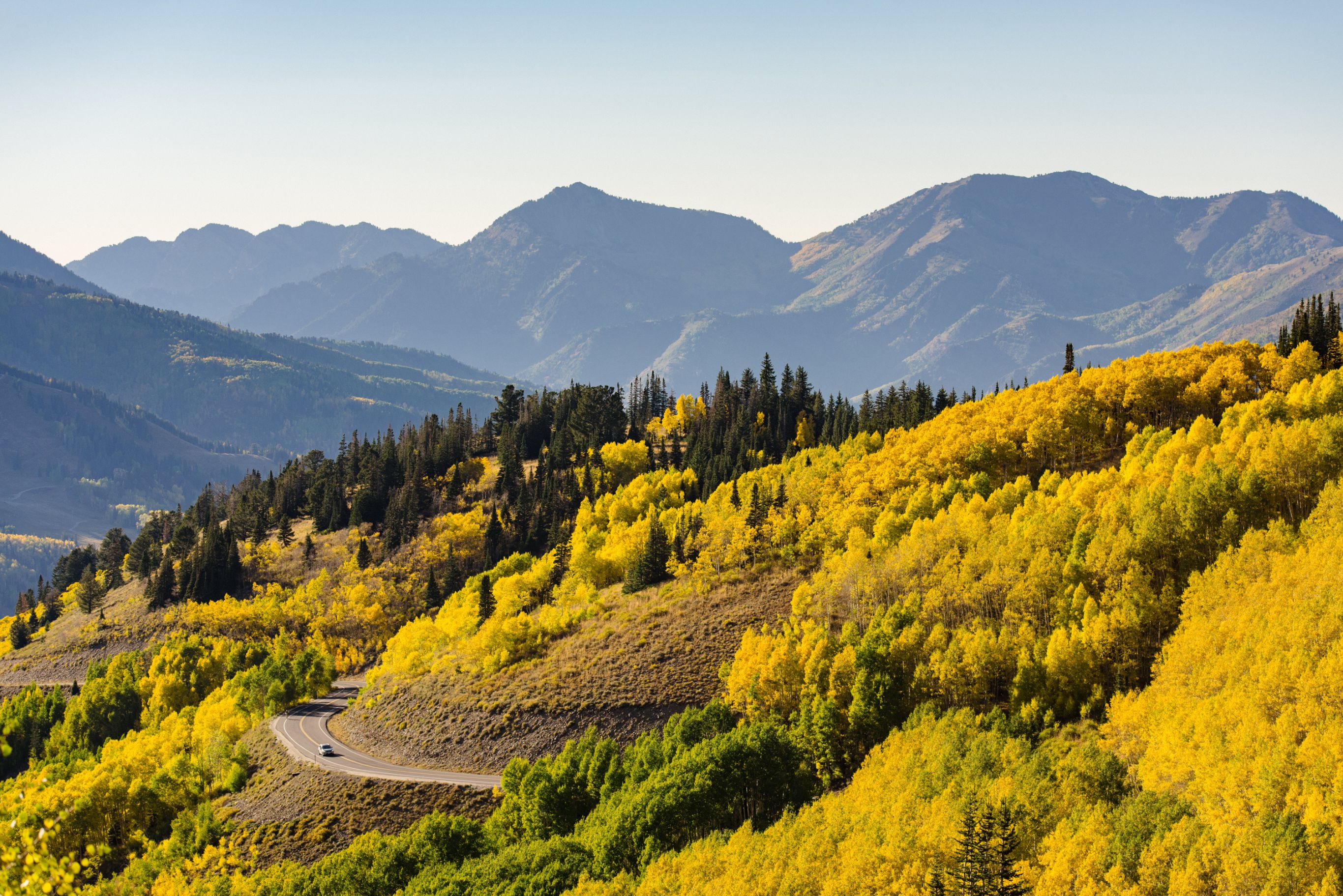 A landscape with trees and mountains in the back.