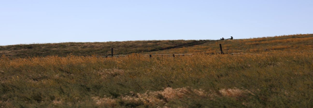 A grassy field with a fence.