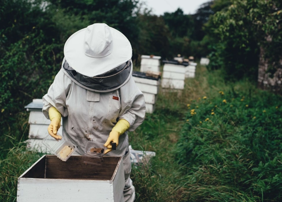 A person wearing a white protective gear.