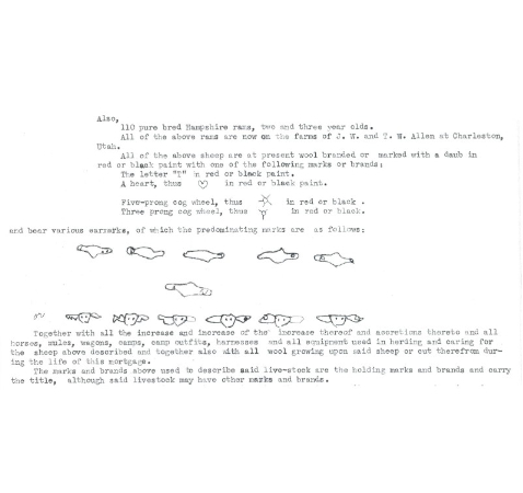 Old instructions on how to earmark sheep