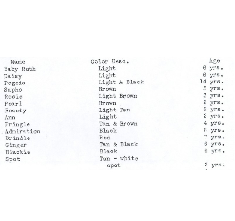 List of mortgaged cow names, colors, and ages