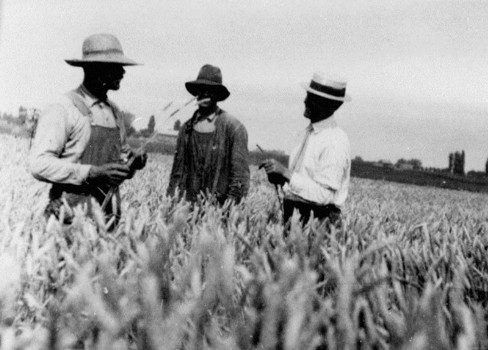 A group of men in a field.