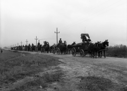 A group of horses pulling a carriage.