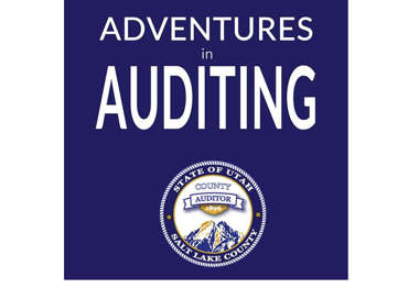 ADVENTURES in AUDITING