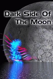 Darl Side*Of The Moon