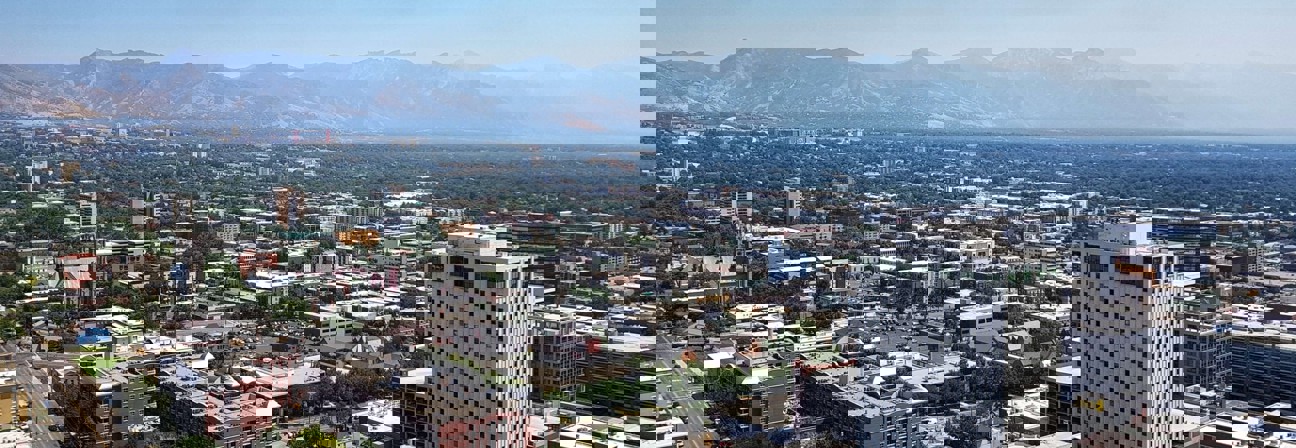 A city with many buildings and a body of water in the background.