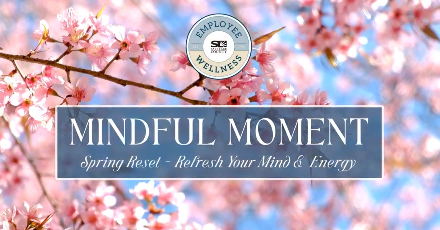 MINDFUL MOMENT 8pringResel Refresh YourMinD 6 Energp