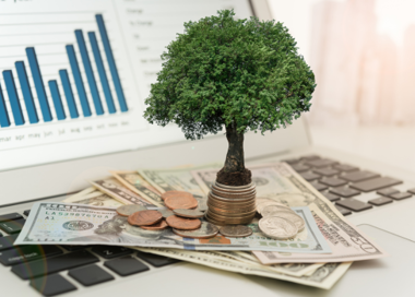 A tree growing on a stack of money.