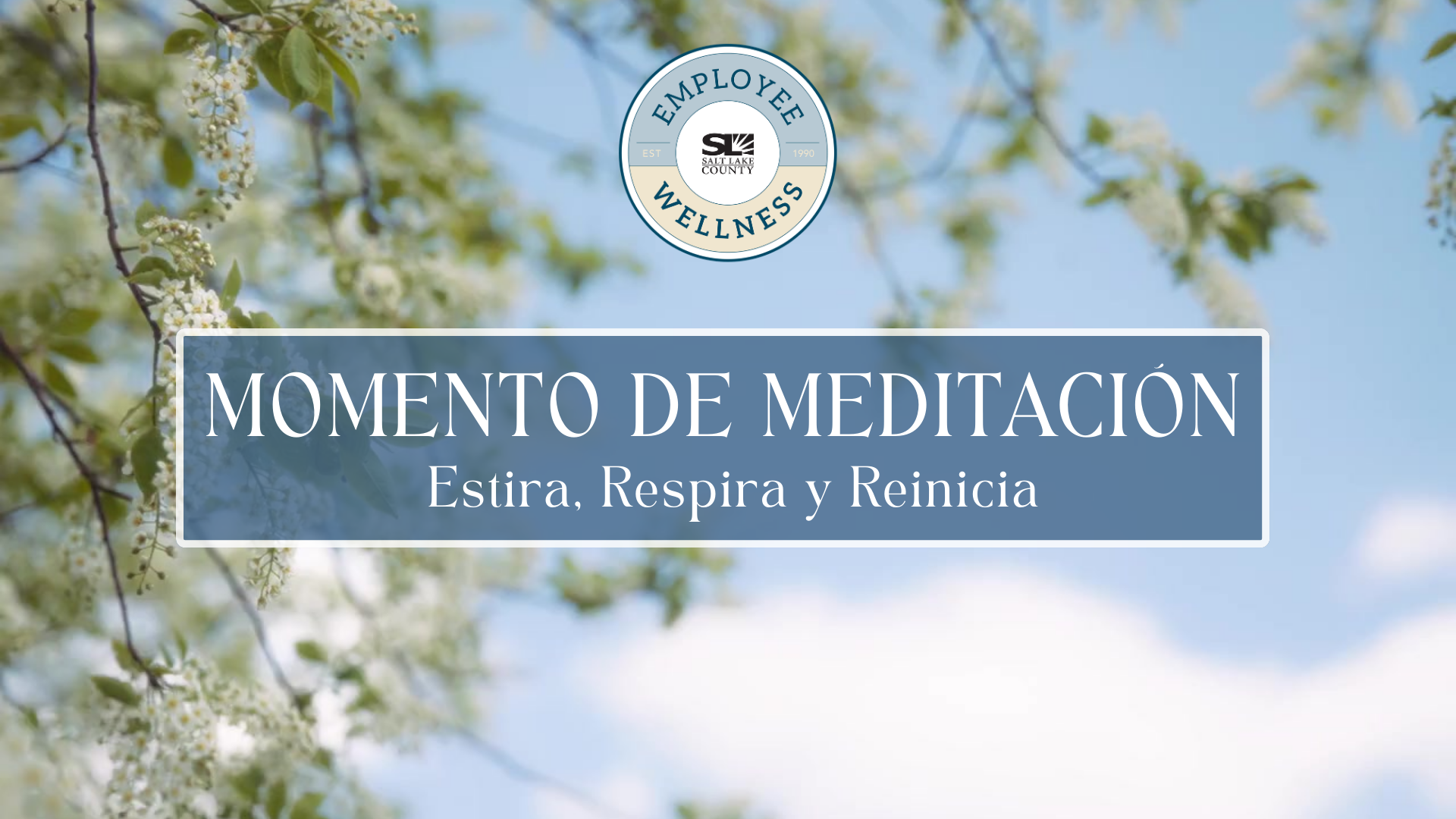 +PLOke Al.'l- LAK OUNT ezLN$ MOMENTO DE MEDITACION Estira, Respira y Reinicia