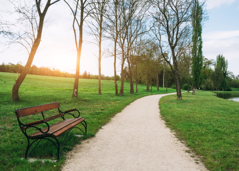 A bench sits unoccupied.
