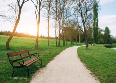 A bench sits unoccupied.