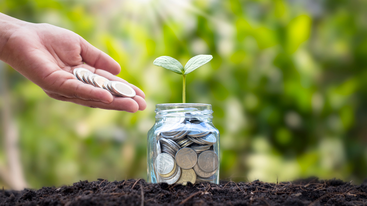 A hand holding a small plant in a jar with coins.