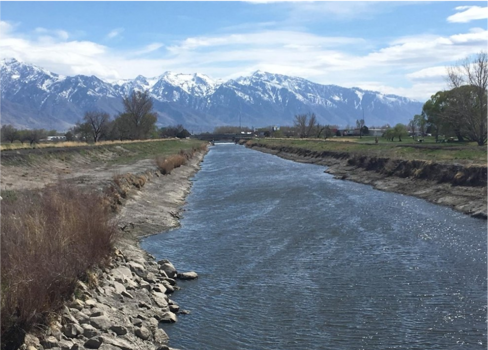 A river with grass and trees by it and mountains in the background.
