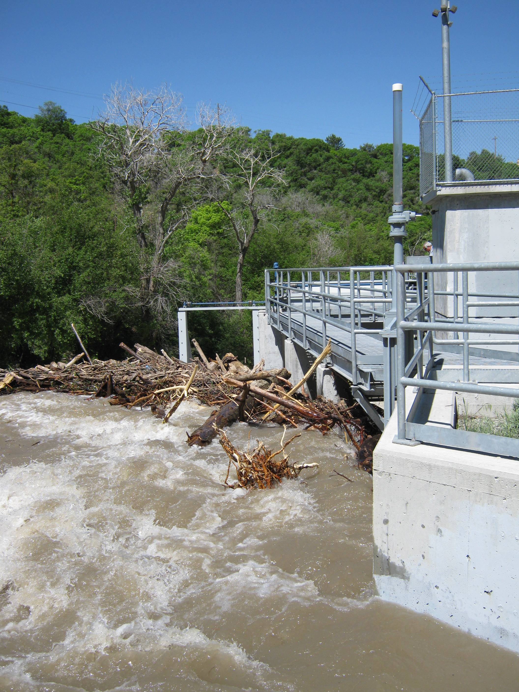 A river with wood debris by a bridge.