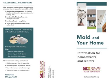 CLEANING SMALL MOLD PROBLEMS Most people can handle cleanup themselves for areas less than 10 square feet (about 3 ft. x 3 ft.): 1. Remove the moisture source (fix the leak, install a ventilation fan, open a window when bathing, etc.) 2. Scrub mold off hard surfaces with detergent and water 3. Let the surface dry completely 4. Throw away porous materials (carpet, ceiling tiles) Don't paint over mold. Clean and dry surfaces first, or mold will return. Protect yourself while cleaning. Wear: • An N-95 respirator mask • Latex, vinyl, or nitrile gloves • Eye protection like goggles When to consider hiring a professional: z Mold covers more than 10 square feet Mold is suspected in your HVAC system ' Your water damage came from sewage • You cannot locate the moisture source O Resources: 00 EPA.gov/mold 00 00 3 00 Mold and Your Home Information for homeowners and renters SALT LAKE COUNTY HEALTH DEPARTMENT SaltLakeHealth.org