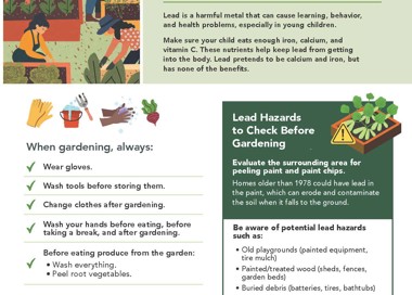 SALT LhKB HEALTH DEPARTMENT Lead Poisoning Prevention Gardening Tips Protect yourself from potential lead in the ground and soil. Lead is a harmful metal that can cause learning, behavior, and health problems, especially in young children. Make sure your child eats enough iron, calcium, and vitamin C. These nutrients help keep lead from getting into the body. Lead pretends to be calcium and iron, but has none of the benefits. When gardening, always: Wear gloves. Wash tools before storing them. Change clothes after gardening. Wash your hands before eating, before taking a break, and after gardening. Before eating produce from the garden: • Wash everything. • Peel root vegetables. AVOID: When creating raised beds, don't use recycled materials that have been painted or treated with preservatives. Avoid using old bath tubs or used tires as planters because they can contain lead. Lead Hazards to Check Before Gardening Evaluate the surrounding area for peeling paint and paint chips. Homes older than 1978 could have lead in the paint, which can erode and contaminate the soil when it falls to the ground. Be aware of potential lead hazards such as: • Old playgrounds (painted equipment, tire mulch) • Painted/treated wood (sheds, fences, garden beds) • Buried debris (batteries, tires, bathtubs) • Bare soil (lack of vegetation) • Nearby smelters/recycling centers • Old plumbing (lead pipes, irrigation) Soil testing is the best way to confirm lead levels. Your soil test results: Soil Lead Concentration (ppm)