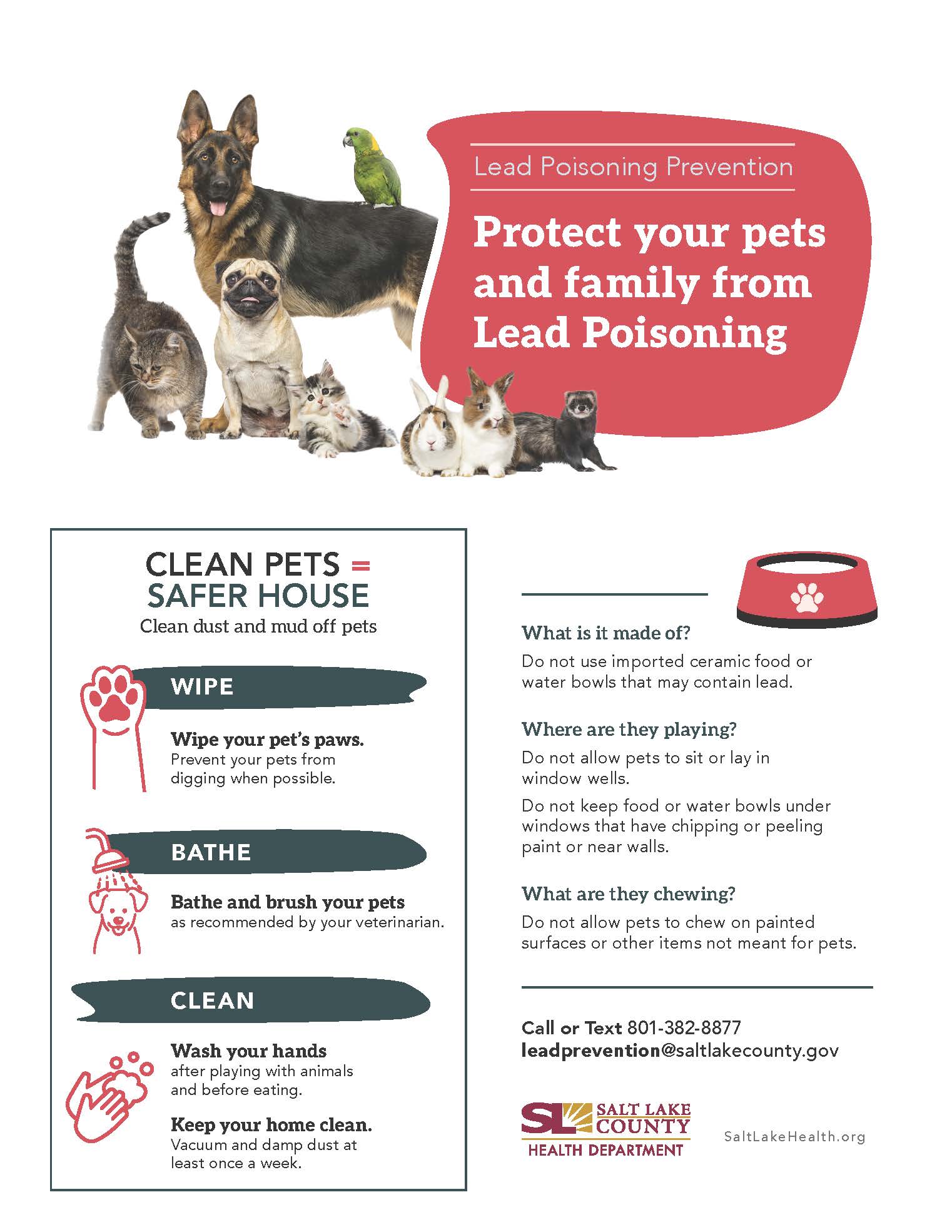 CLEAN PETS SAFER HOUSE Clean dust and mud off pets WIPE Wipe your pet's paws. Prevent your pets from digging when possible. Bathe and brush your pets as recommended by your veterinarian. CLEAN Wash your hands 0 00 after playing with animals and before eating. Keep your home clean. Vacuum and damp dust at least once a week. Lead Poisoning Prevention Protect your pets and family from Lead Poisoning What is it made of? Do not use imported ceramic food or water bowls that may contain lead. Where are they playing? Do not allow pets to sit or lay in window wells. Do not keep food or water bowls under windows that have chipping or peeling paint or near walls. What are they chewing? Do not allow pets to chew on painted surfaces or other items not meant for pets. Call or Text 801-382-8877 leadprevention@saltlakecounty.gov SALT LAKE COUNTY SaltLakeHealth.org HEALTH DEPARTMENT