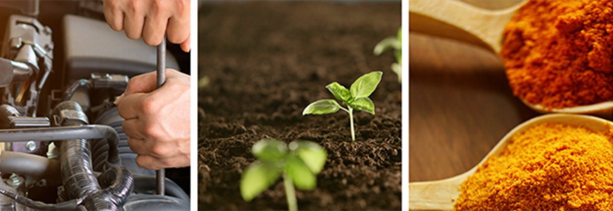 A person planting a plant.
