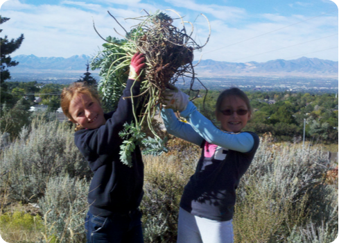 A couple of women holding a string of grass.