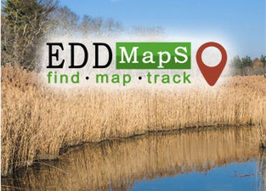 EDDLiÄS find •map •track