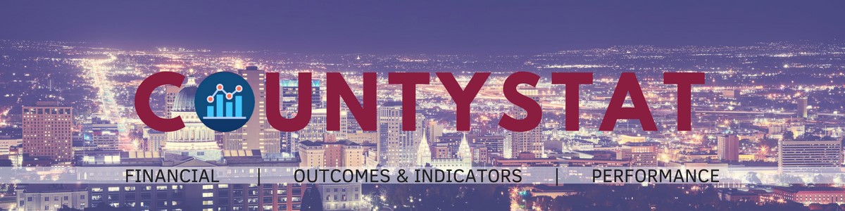 COUNiTYSu FINANCIAL OUTCOMES & INDICATORS PERFORMANCE