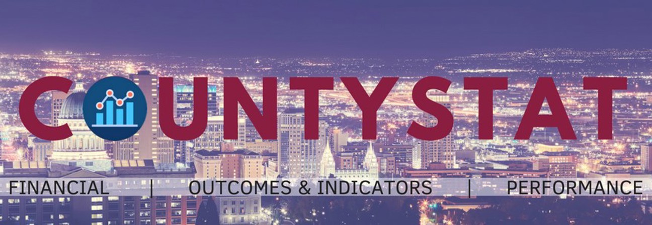 COUNiTYSu FINANCIAL OUTCOMES & INDICATORS PERFORMANCE