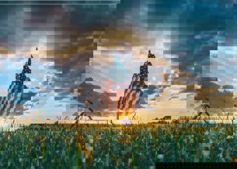 A flag in a field.