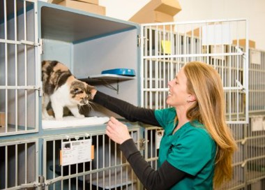 A person with a cat on the shoulder.