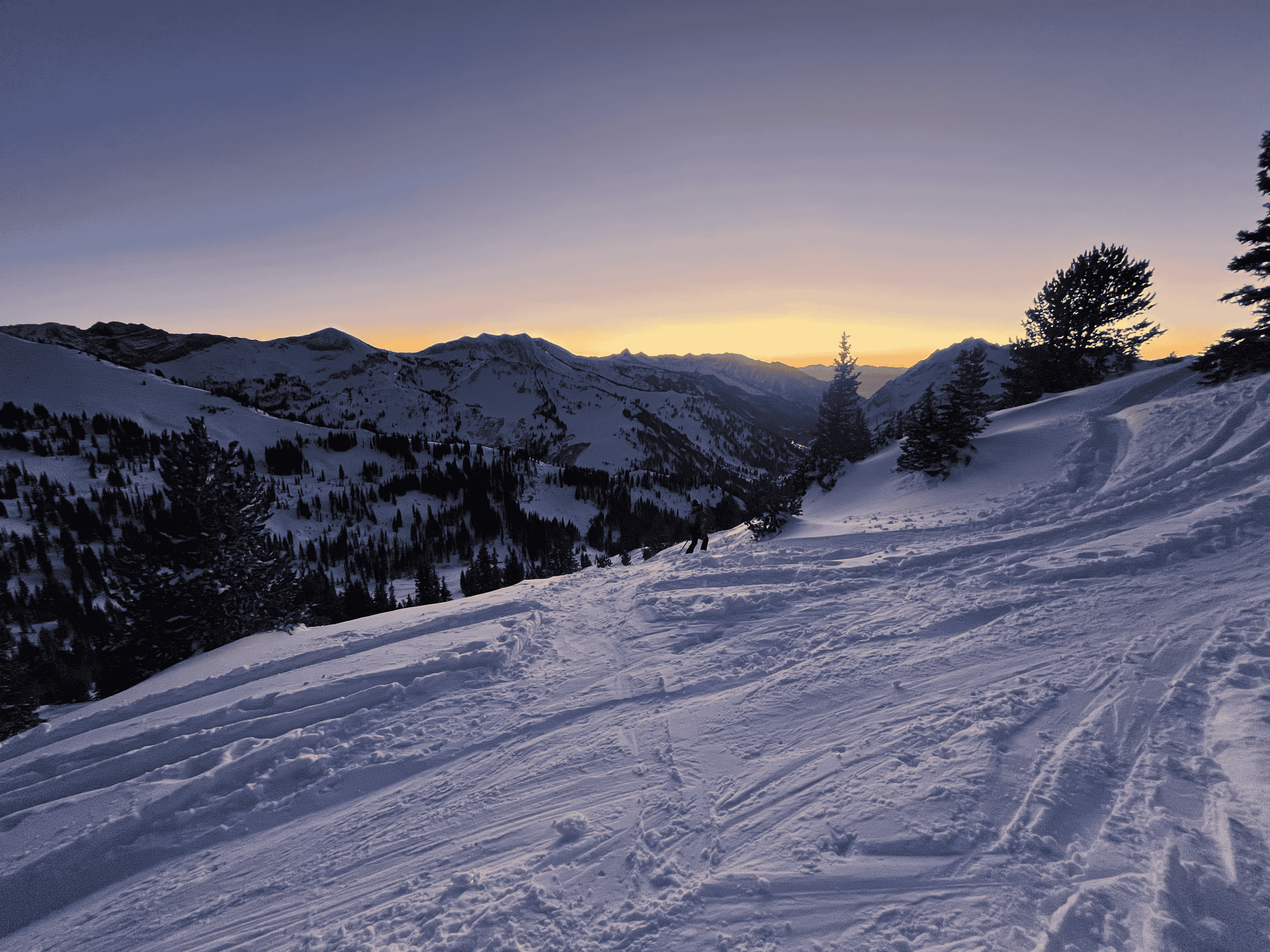 A snowy mountain with trees.