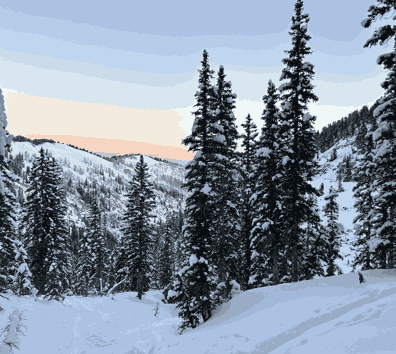 A snowy mountain with trees.