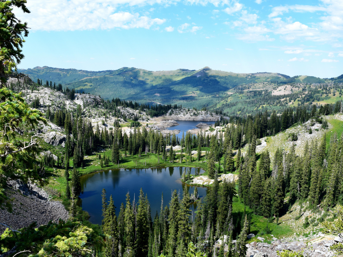 A lake surrounded by trees.