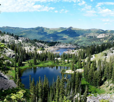 A lake surrounded by trees.