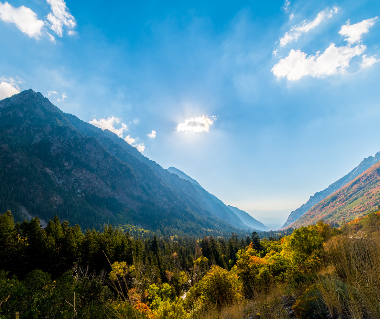 A landscape with trees and mountains.