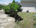 Eroded streambank caused by flooding.
