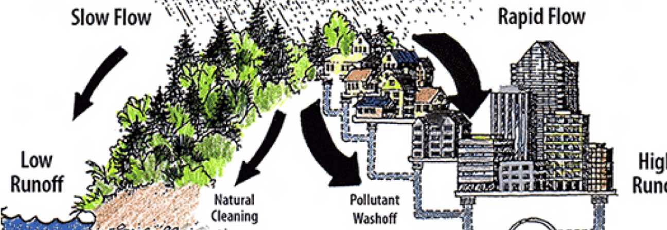 Slow Flow Low Runoff Rapid Flow No Recharge Higl Runt Natural Cleaning Recharge to Groundwater Natural Environment Pollutant Wash off Urbanized Environment