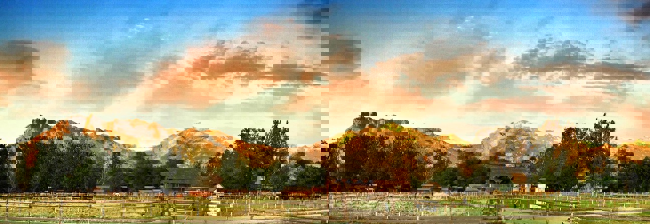 A landscape with trees and mountains in the background.