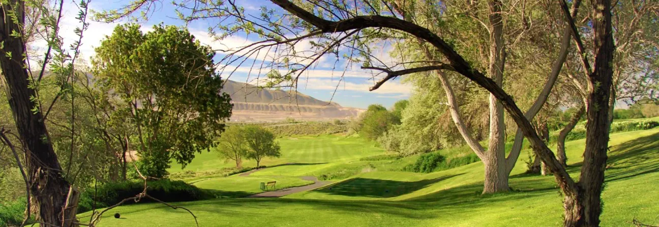 A golf course with green trees.