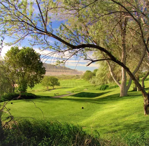 A golf course with green trees.