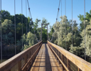 A long wooden bridge over water.