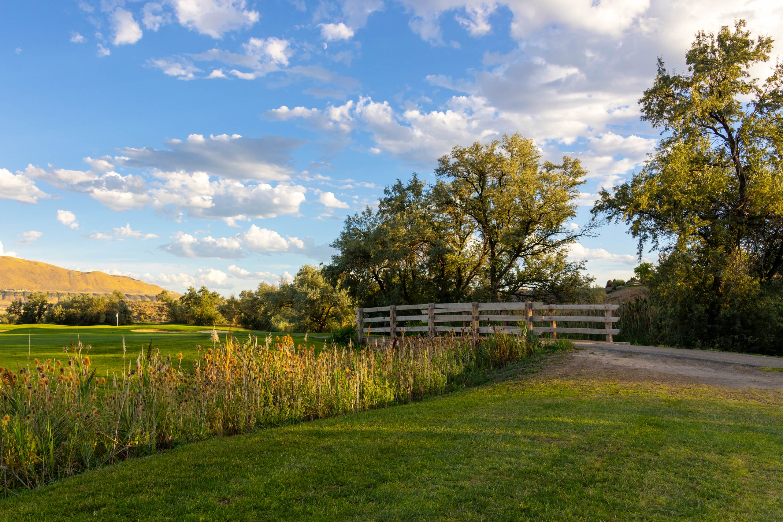 A picture of trees, a golf cart path and bridge, landscaping, and partial view of a golf course hole at Riverbend Golf Course in Salt Lake City.