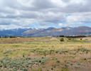 Bingham Creek